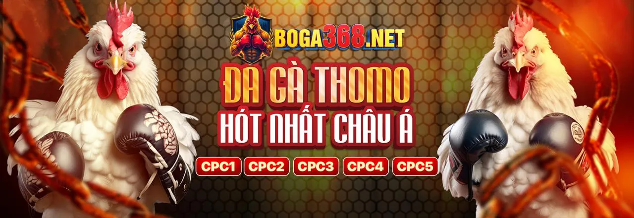 Hình ảnh chính bsport khuyến mãi 2026